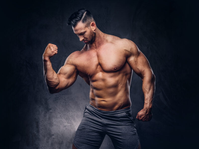 Which Are the Easiest Muscles To Build Fast and Maintain?