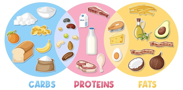 Macronutrients of Pre Workout Meal: What To Eat?